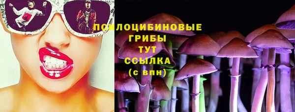 сатива Алексин