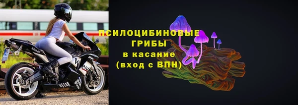 сатива Алексин