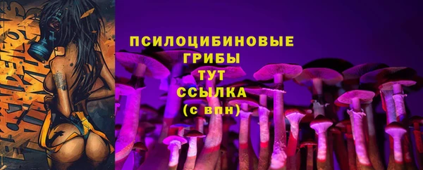 прущие крисы Алексеевка